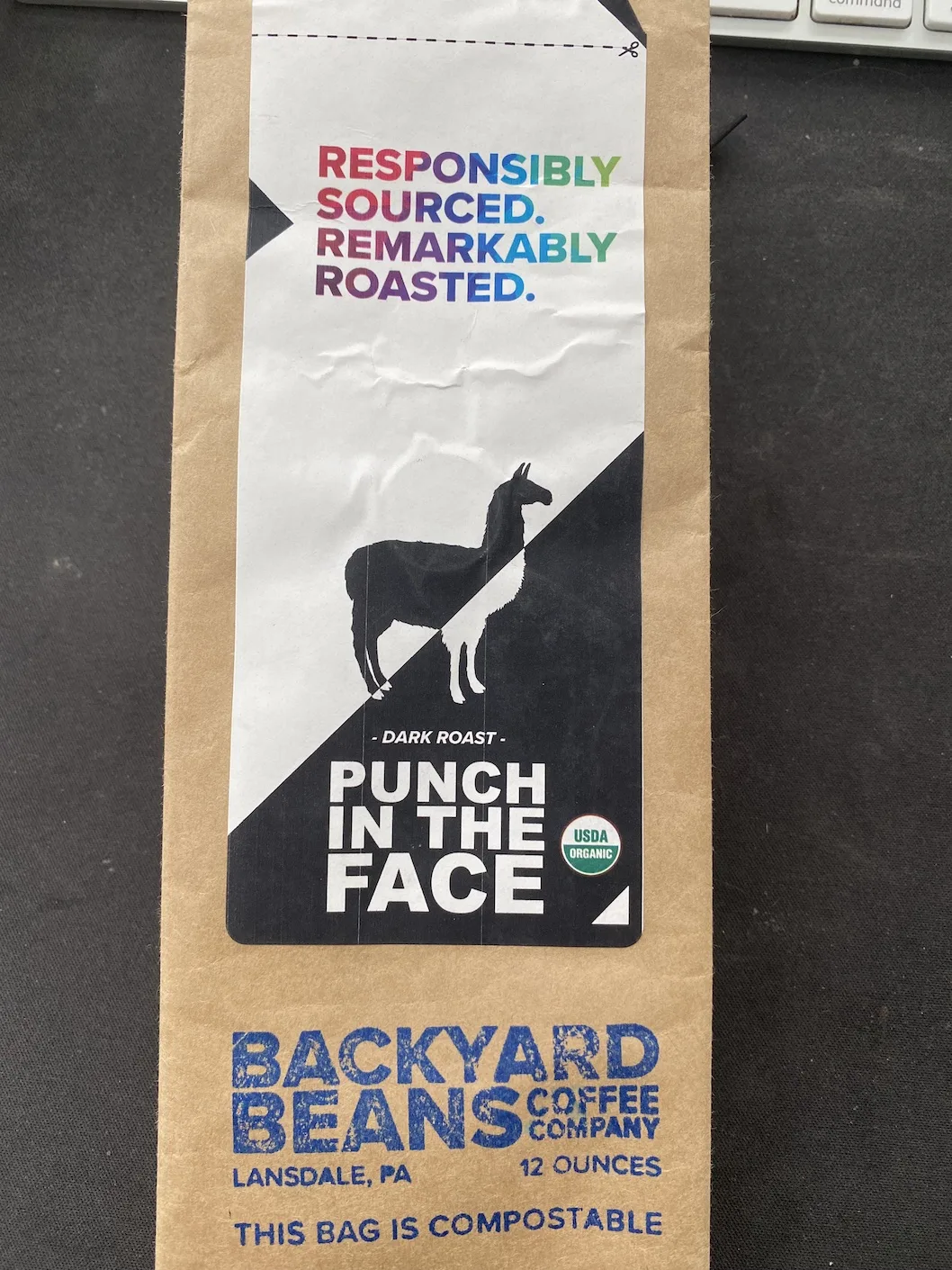 Backyard Beans – Punch in the Face