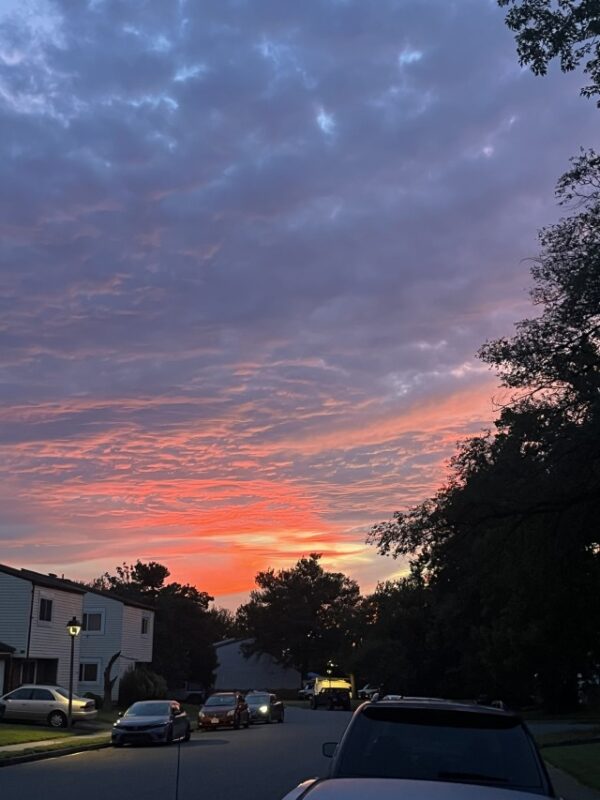 Pink sunset