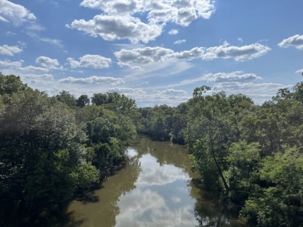 View from my ride today